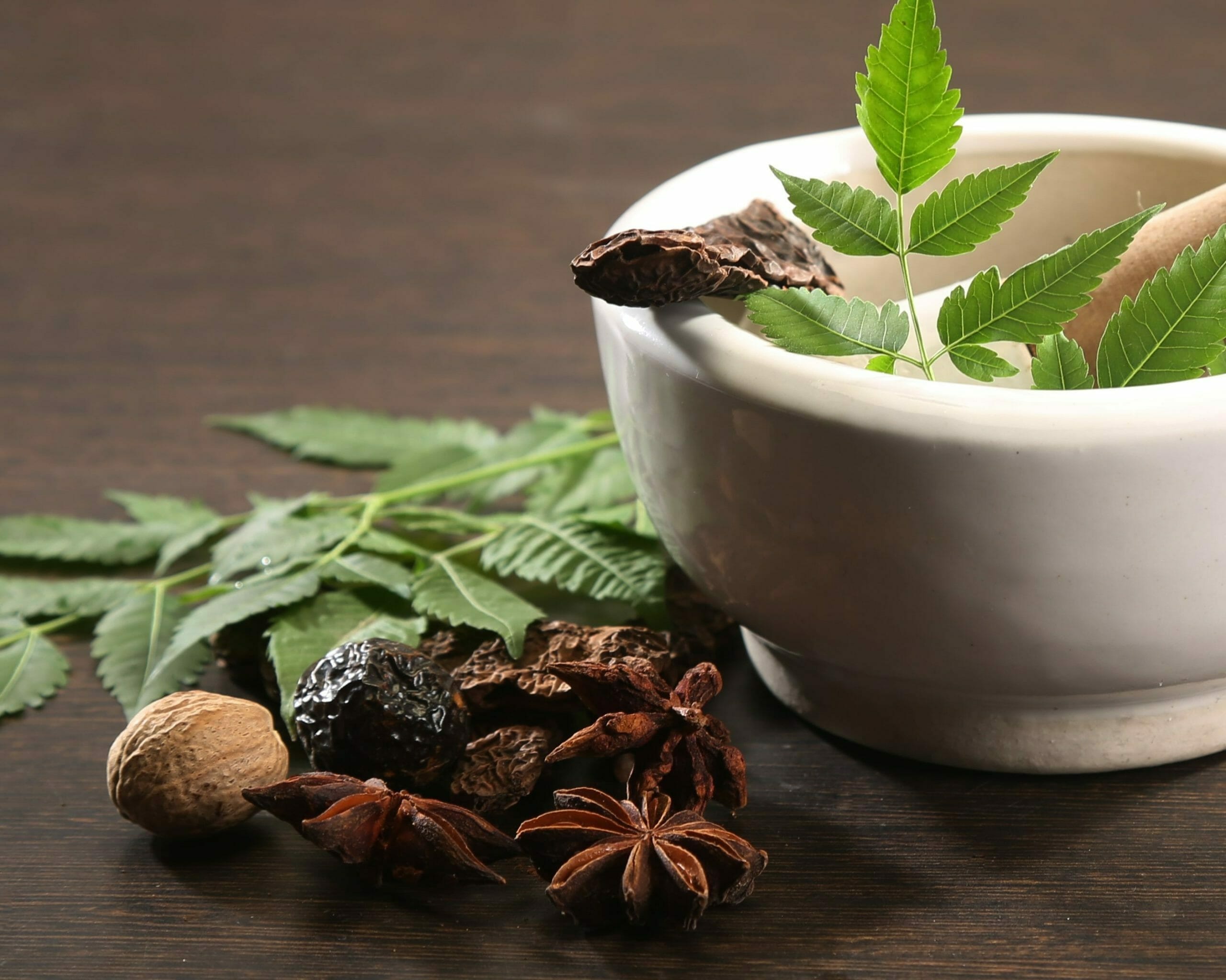 Ayurvedic Herbs that Prevent and Treat Drug Resistant Bacteria
